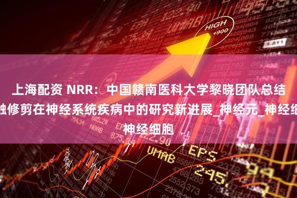 上海配资 NRR：中国赣南医科大学黎晓团队总结突触修剪在神经系统疾病中的研究新进展_神经元_神经细胞