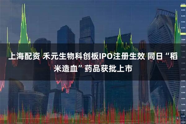 上海配资 禾元生物科创板IPO注册生效 同日“稻米造血”药品获批上市